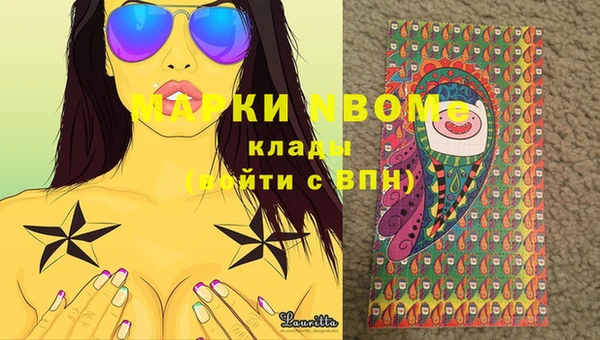 прущие крисы Новозыбков