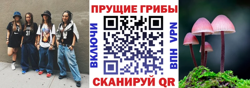 Галлюциногенные грибы Psilocybe  Купить где  Куса 